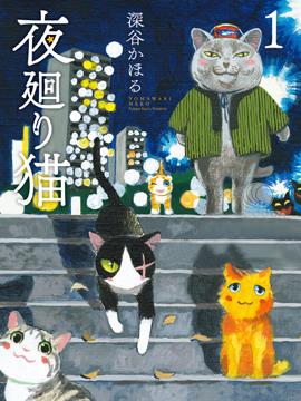 夜巡猫韩国漫画漫免费观看免费